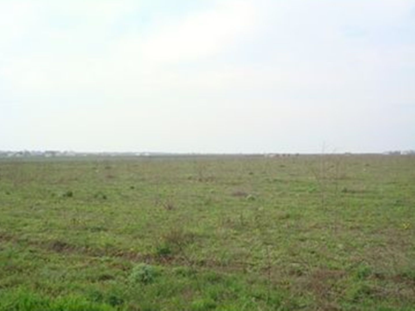 Обʼєкт №7996
