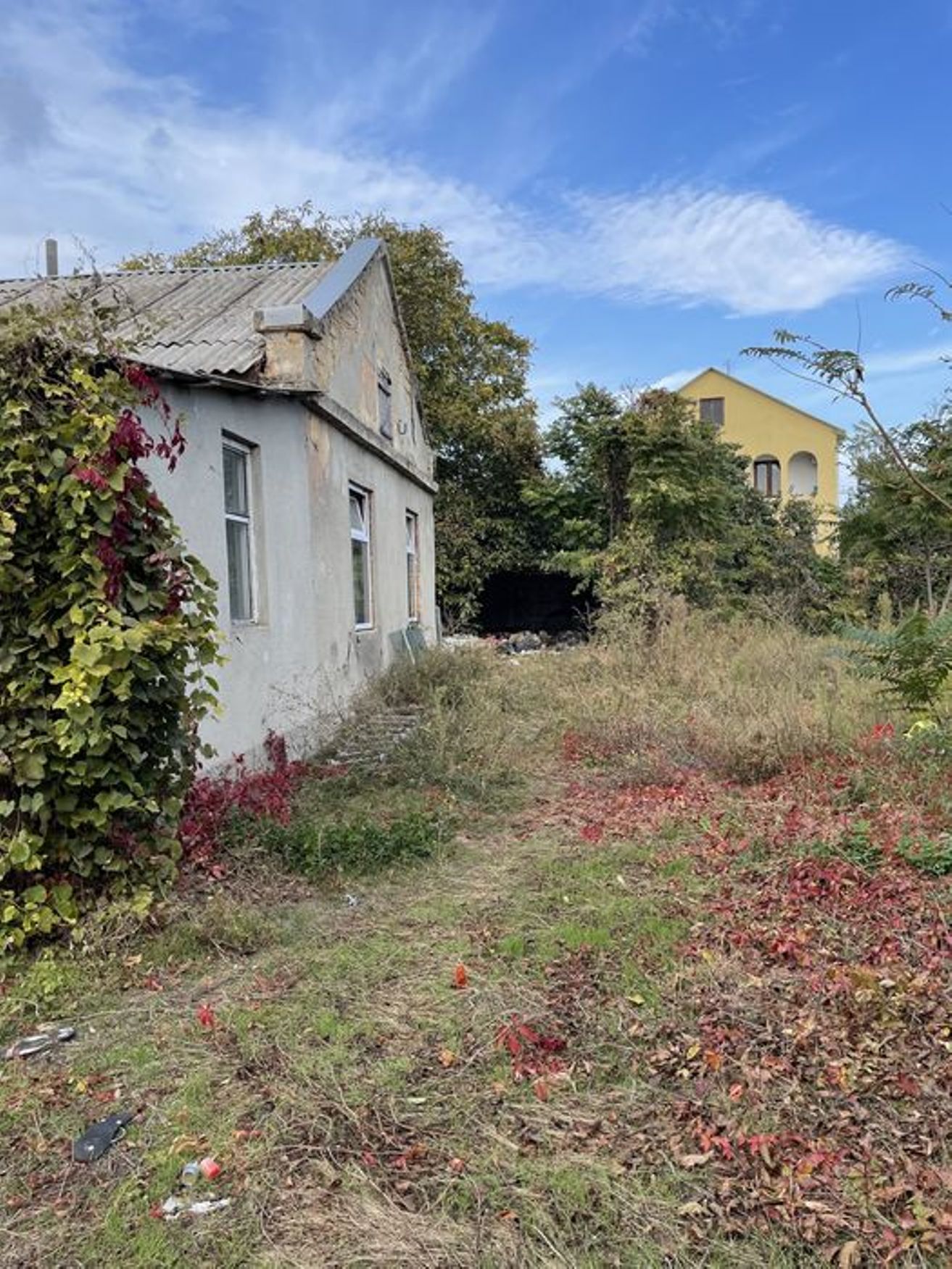 1-кімнатні, 220 м²